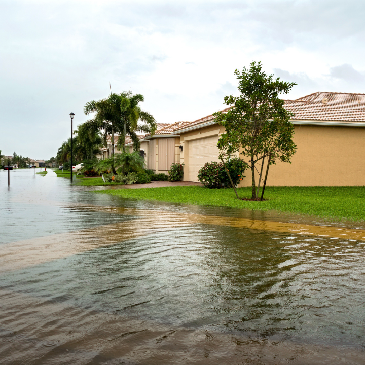 best full home inspection port st lucie florida